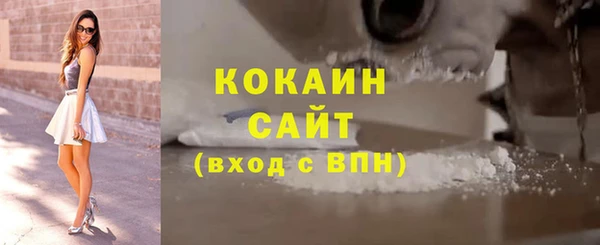 соль ск Богородск