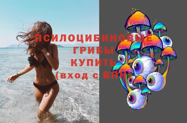 ешки Бородино