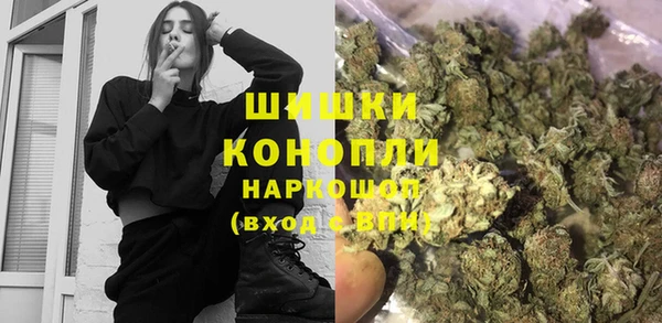 соль ск Богородск