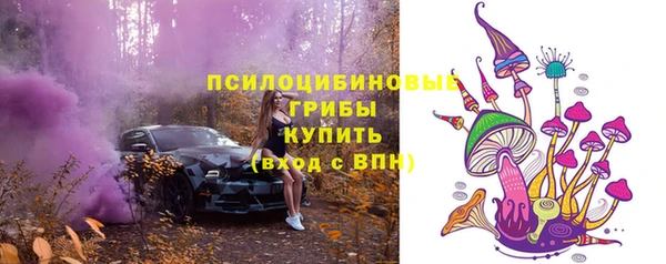 марки lsd Богородицк
