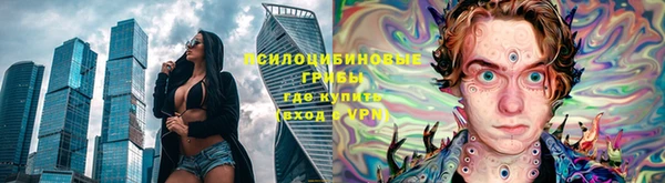 соль ск Богородск